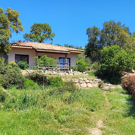Villas Lantana Porto-Vecchio  Eksteriør billede