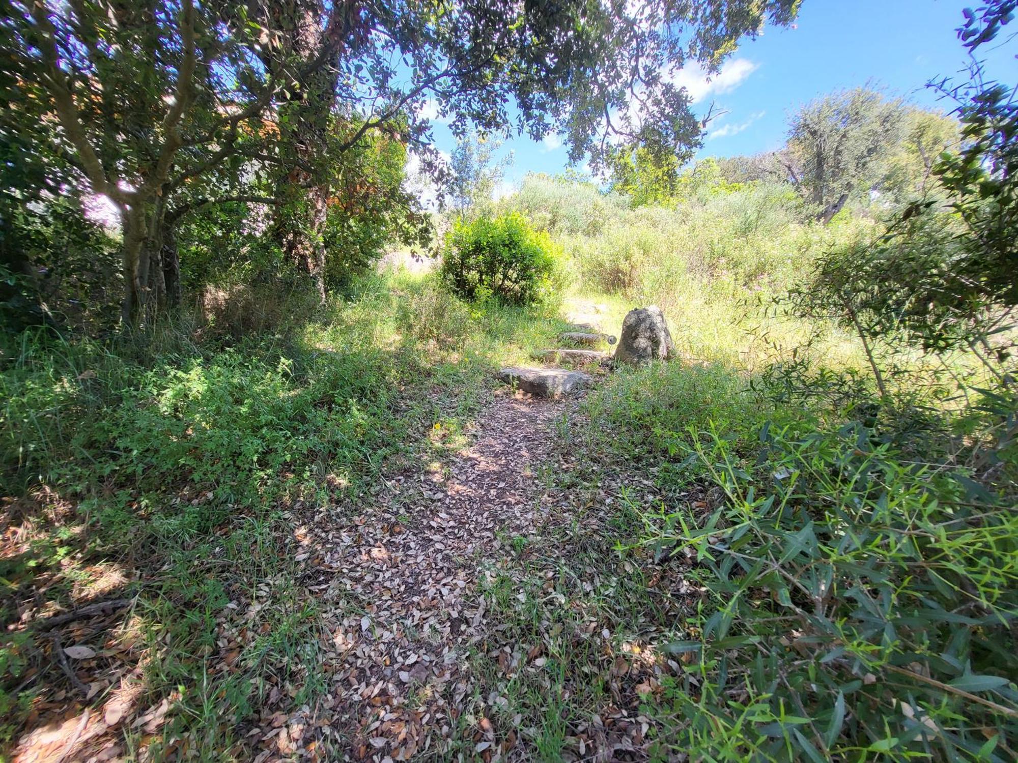 Villas Lantana Porto-Vecchio  Eksteriør billede
